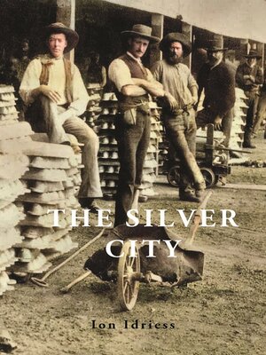 cover image of The Silver City